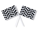 Black and White Check Flag C/1
