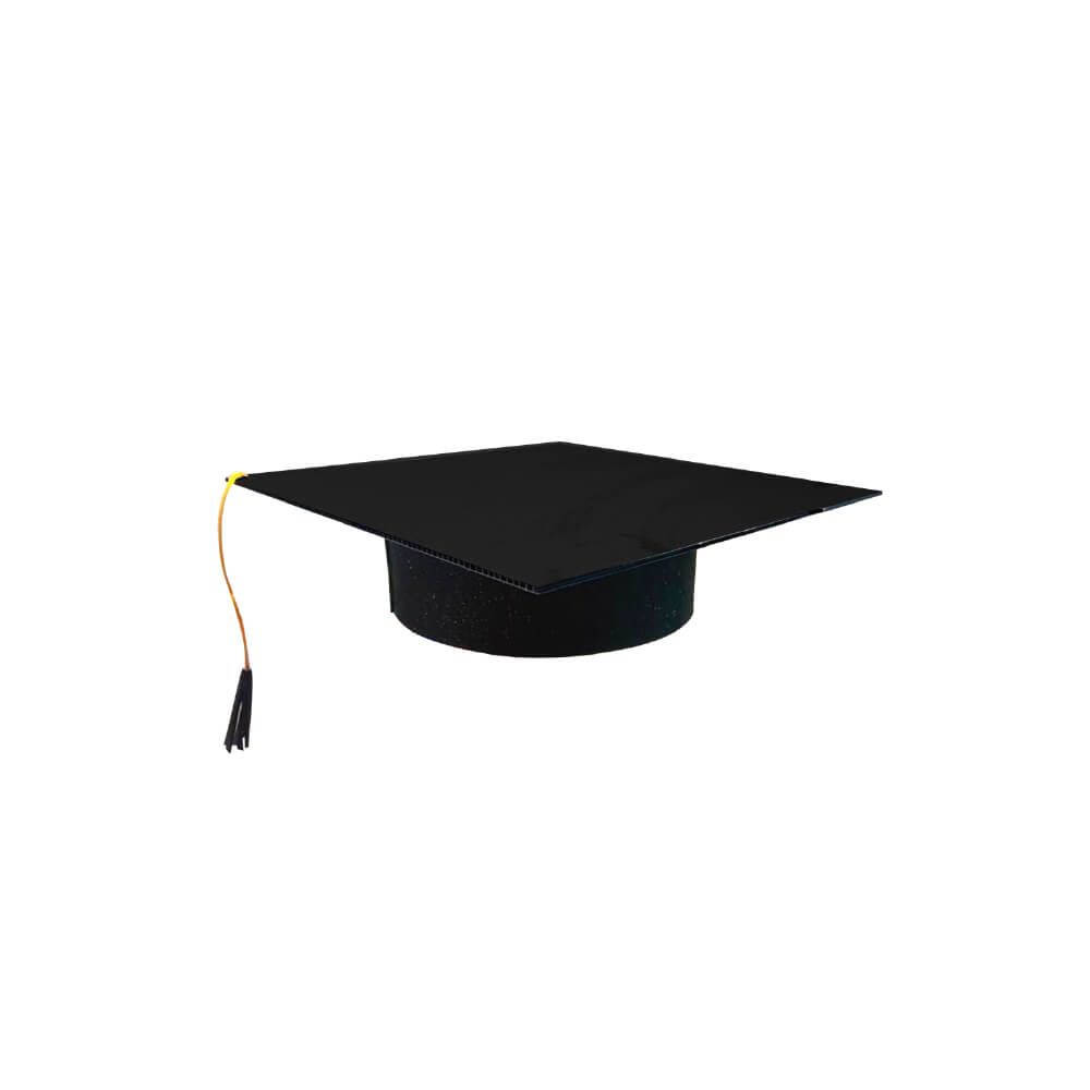 Birrete Graduacion C/1