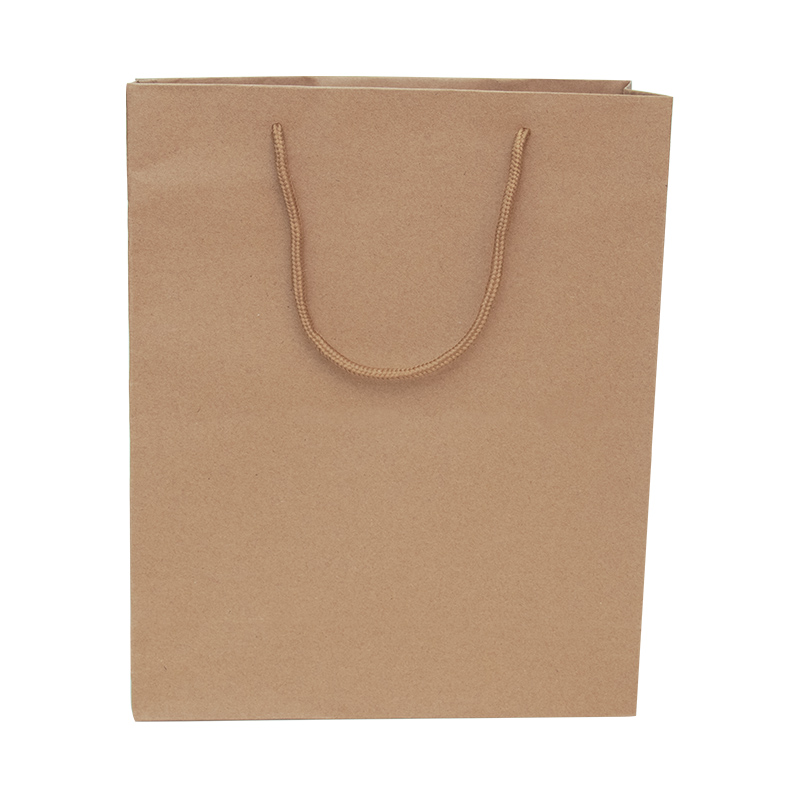 Bolsa Kraft M C/1